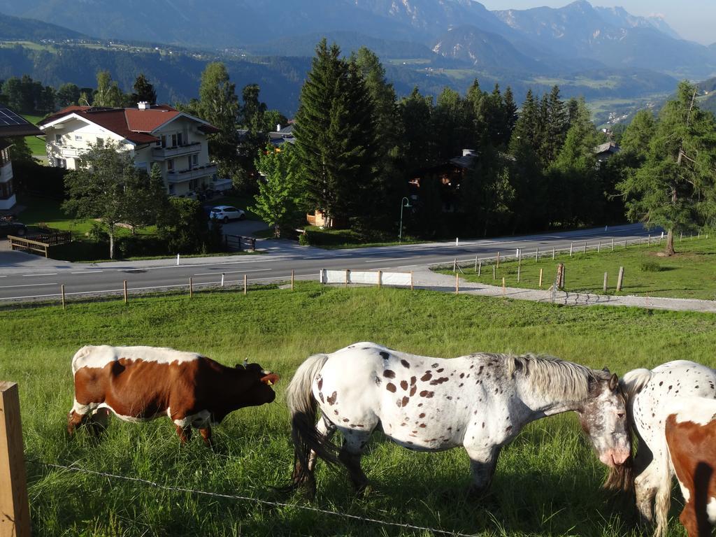 Haus Alpina Ski In & Ski Out Schladming Luaran gambar