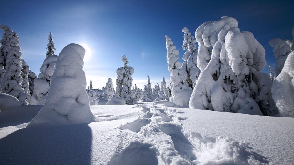 Haus Alpina Ski In & Ski Out Schladming Luaran gambar