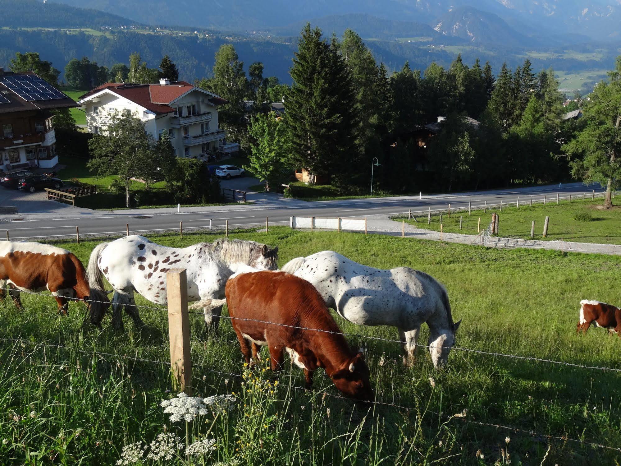 Haus Alpina Ski In & Ski Out Schladming Luaran gambar