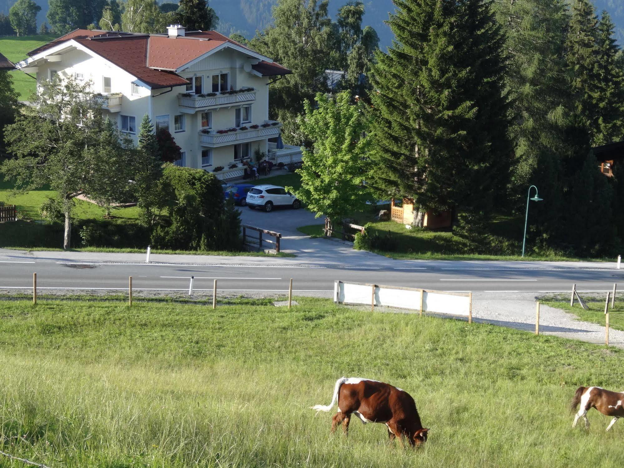 Haus Alpina Ski In & Ski Out Schladming Luaran gambar